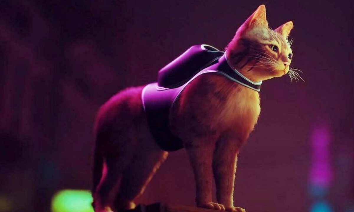 Stray's cat protagonist standing in front of a neon lit city.