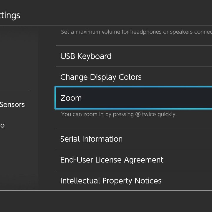 Nintendo Switch system settings let you enable zoom.
