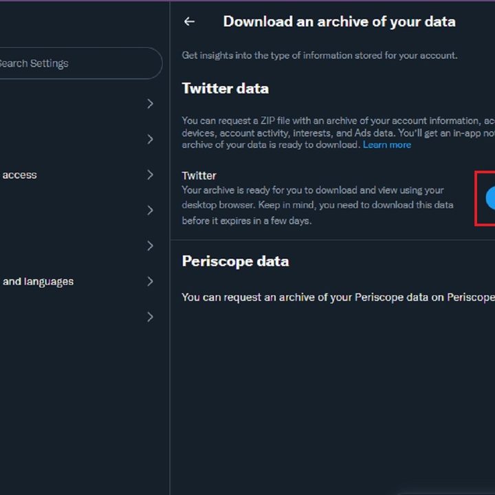 The Download Archive button on the Twitter desktop website.