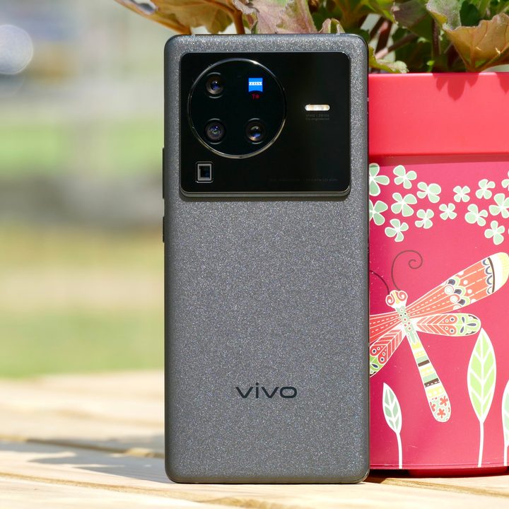 The Vivo X80 Pro seen from the back, resting against a flower pot.