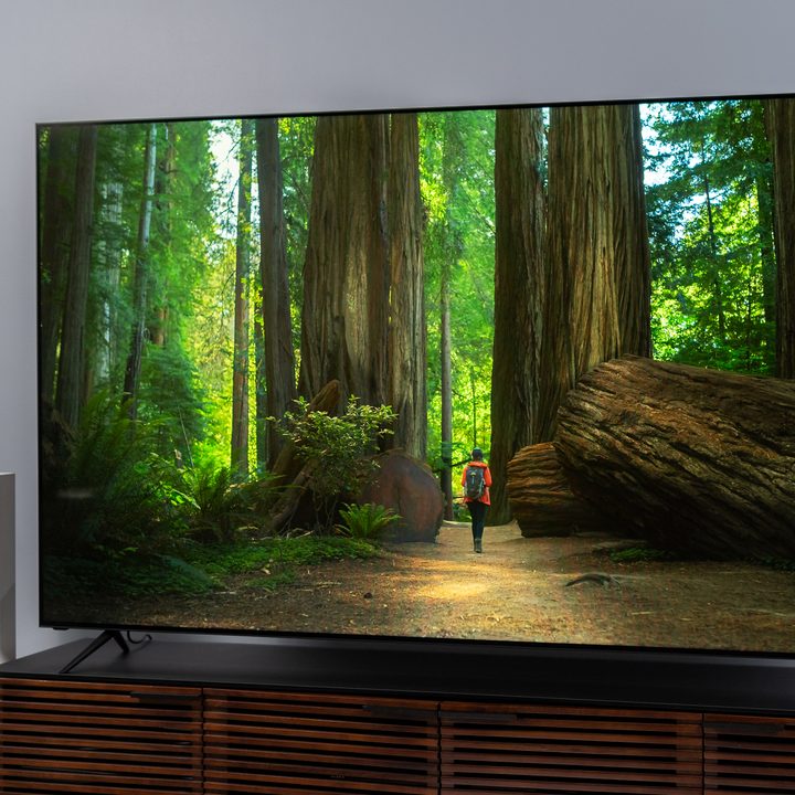 Redwoods on the Vizio 85 P Series Quantum X's screen.