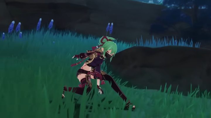 Shinobu crouching in the grass.