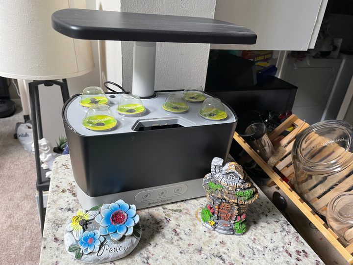 The AeroGarden Harvest with a fresh set of seed pods.