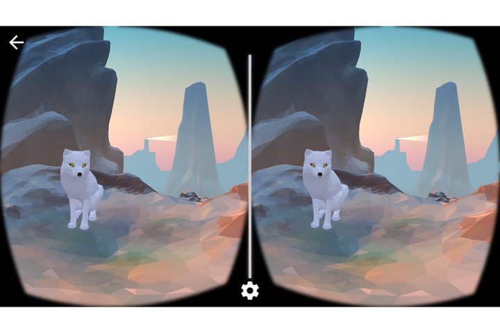 Cardboard Camera with dual lens viewer.
