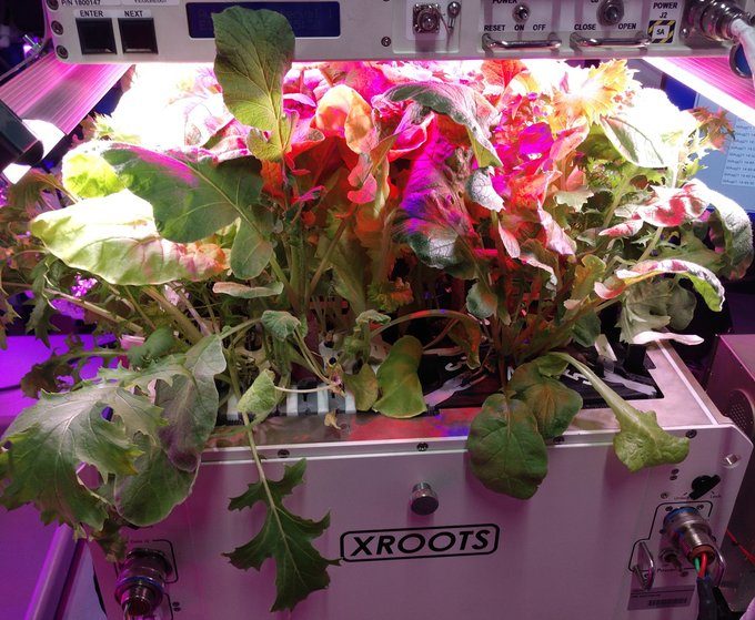 XROOTS hardware undergoing ground-based plant tests.