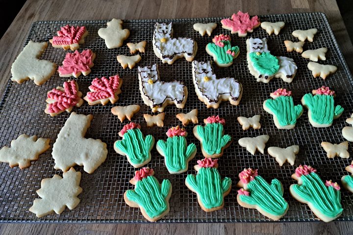 A rack of iced sugar cookies.