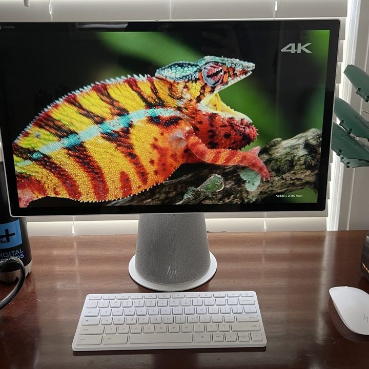 Watching a nature video using the display on the HP Chromebase.