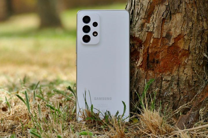 The Samsung Galaxy A53 5G leaning against a tree.