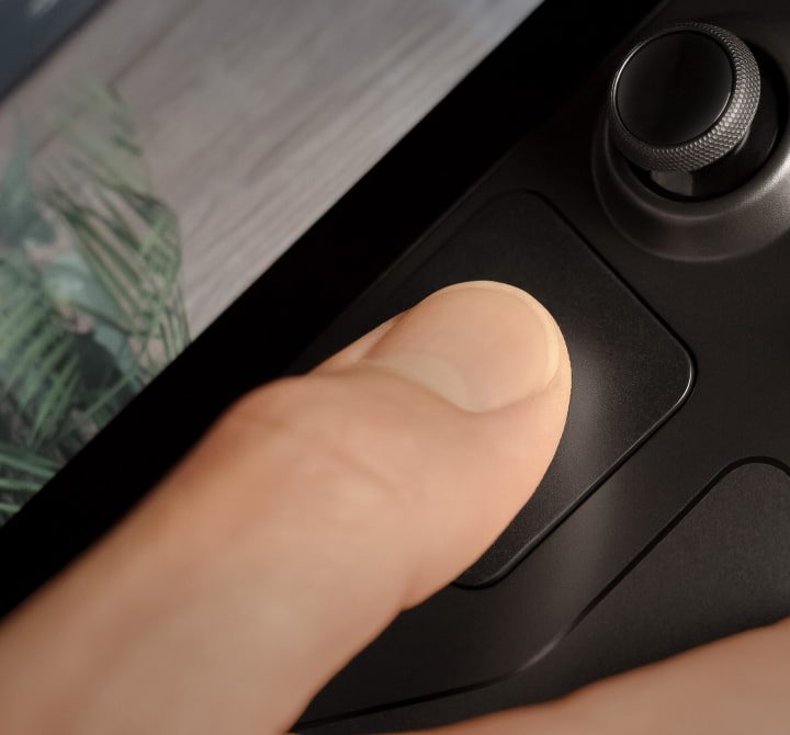 Steam Deck Controls up close.