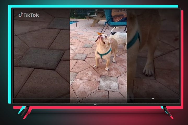 TikTok TV app seen on a Vizio TV.