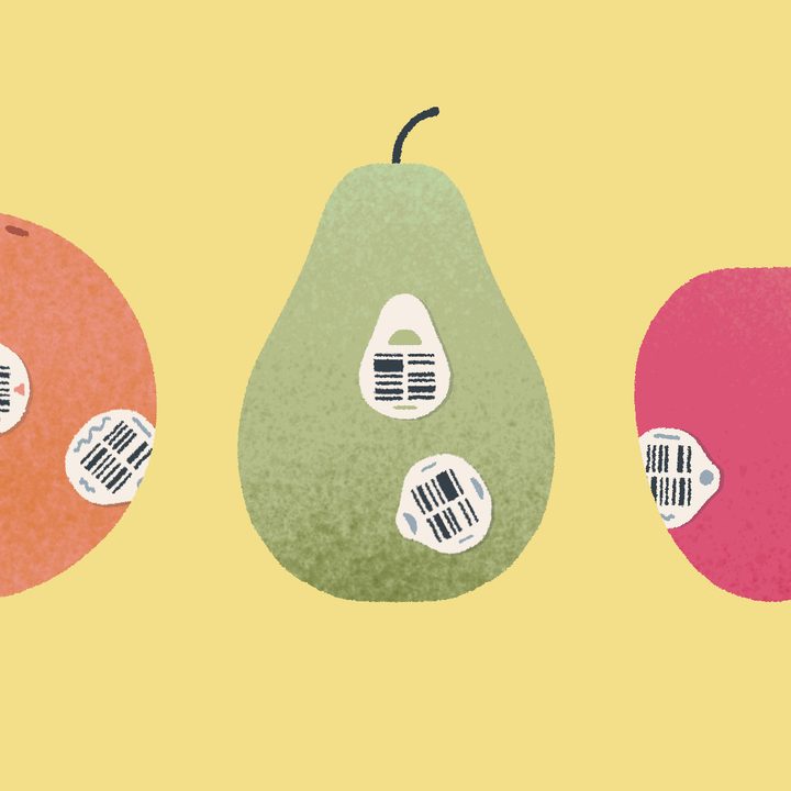 Fruits sit in a line in A Little to the Left.