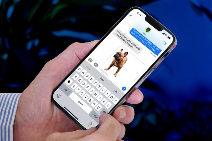 The image background remover feature from iOS 16 being used on a photo of a dog.