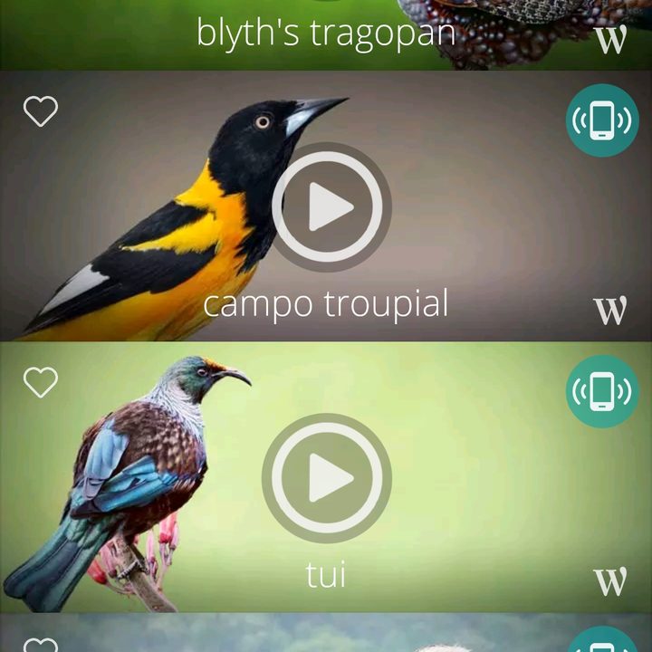 Bird Songs: Ringtones app showing available ringtones.