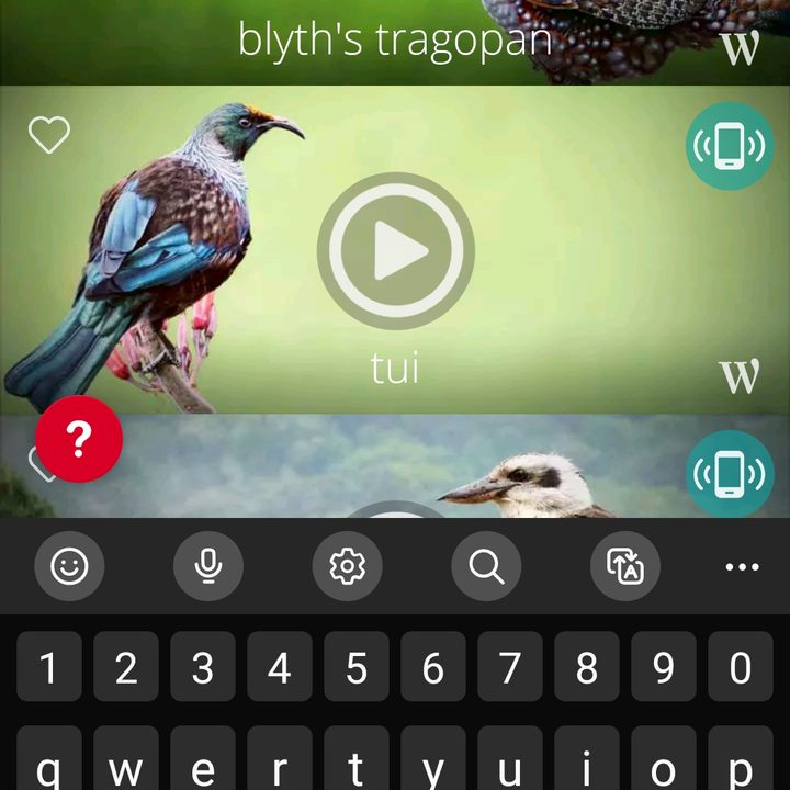 Birdsongs: Ringtones app showing setting a ringtone.