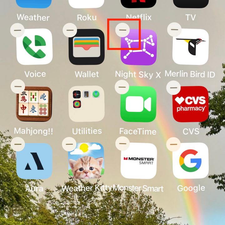 Remove app with minus sign.