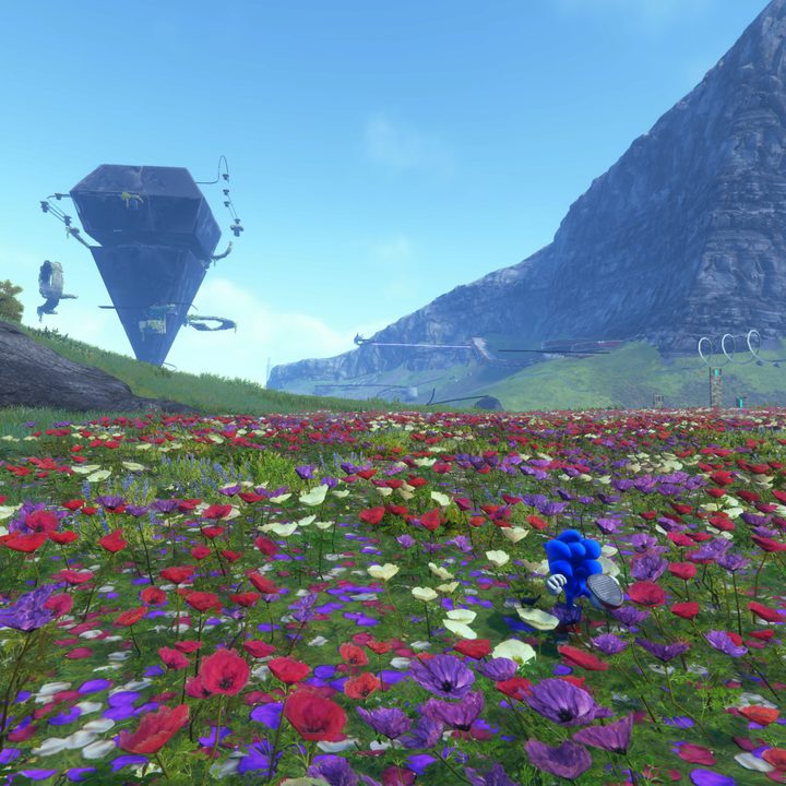 Sonic walks through a field of flowers in Sonic Frontiers.