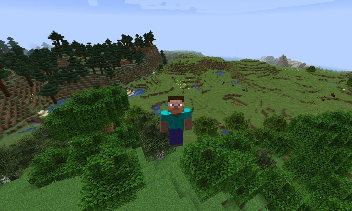 Flying in Minecraft.