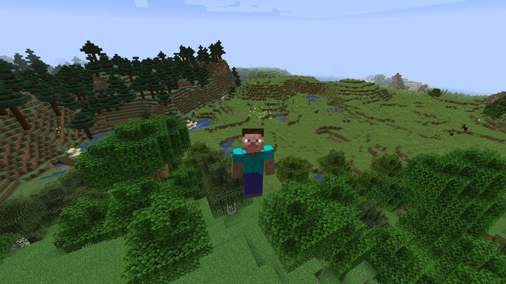 Flying in Minecraft.