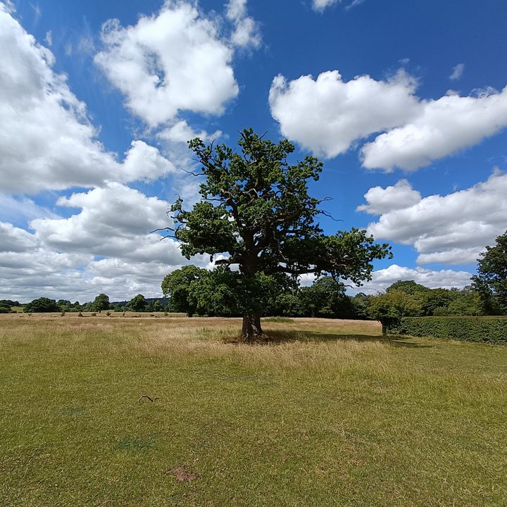 Wide-angle photo taken with the OnePlus Nord 2T.