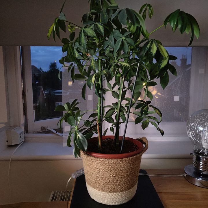 Nothing Phone 1 Night mode photo.