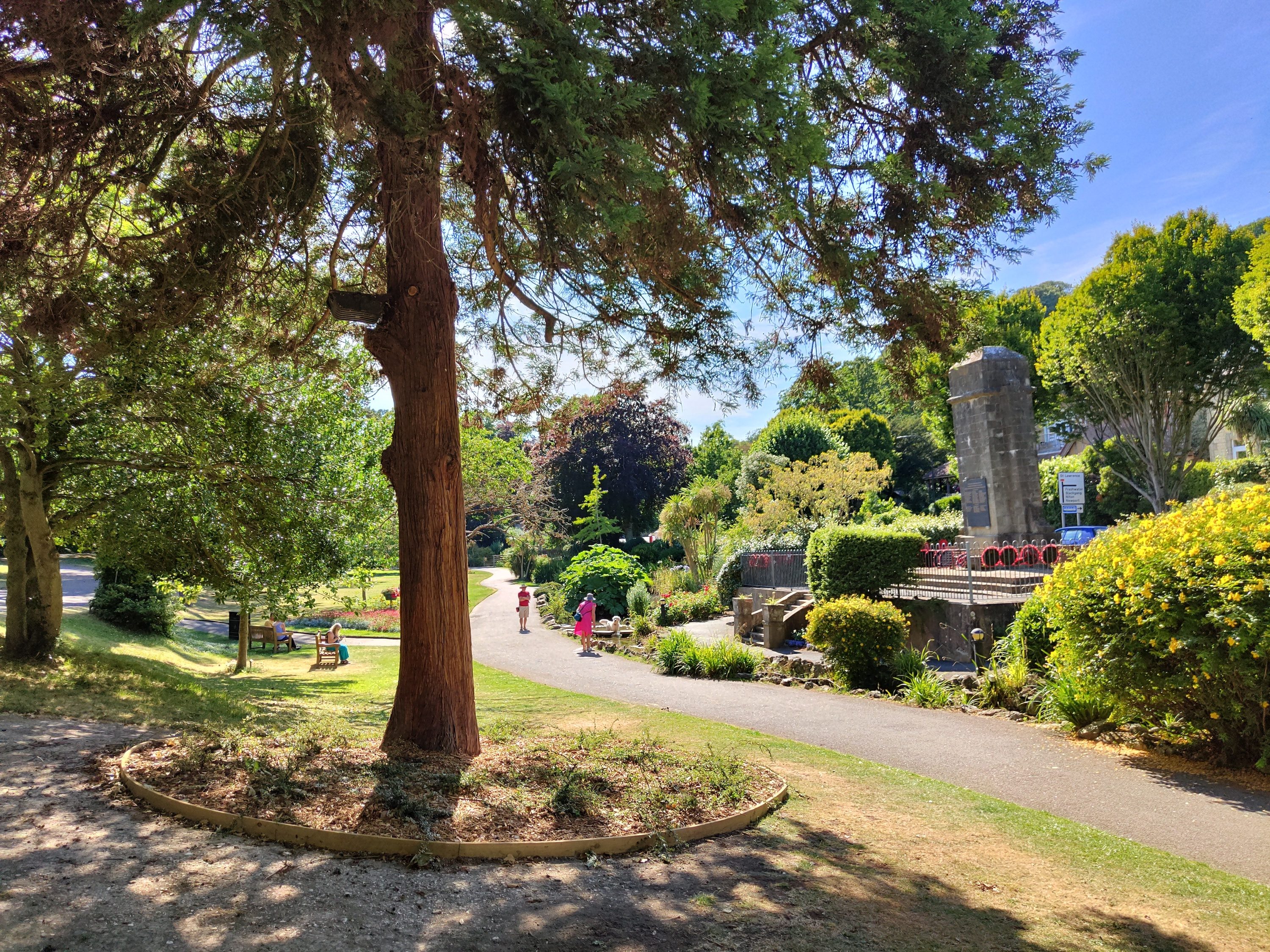 Photo of a park taken with the Nothing Phone 1.