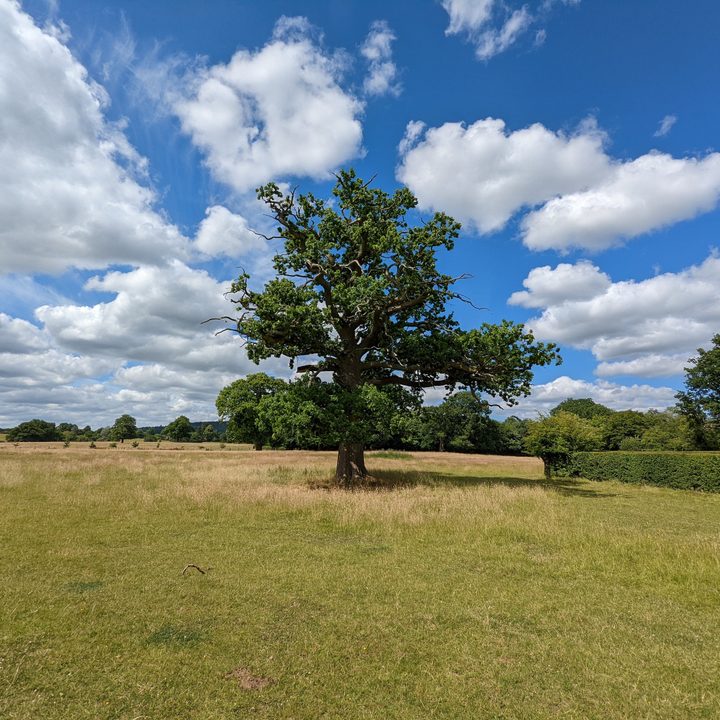 Wide-angle photo taken with the Google Pixel 6.