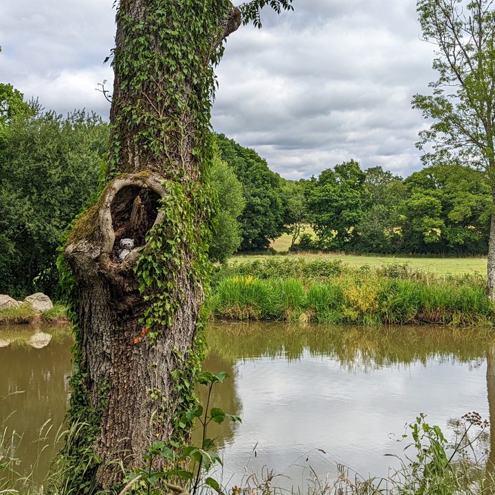 Zoom photo taken with the Google Pixel 6.