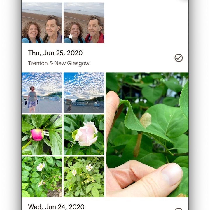The Camouflaged and original photos appear side by side in Google Photos timeline.