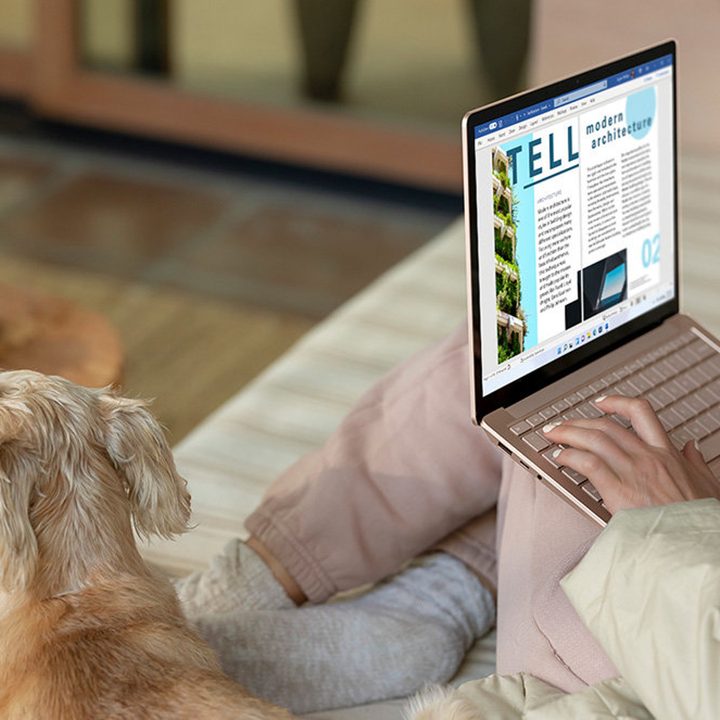 Using a Microsoft Surface Laptop 4 sitting on a couch with a dog.