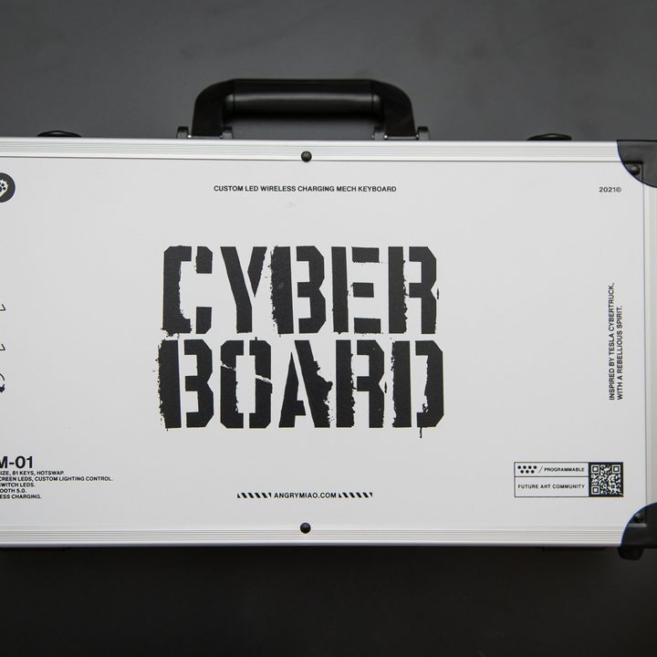 The Cyberboard R2 carrying case.