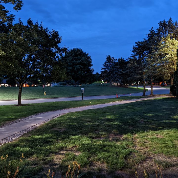 A photo of trees, the night sky, and a sidewalk taken late at night.