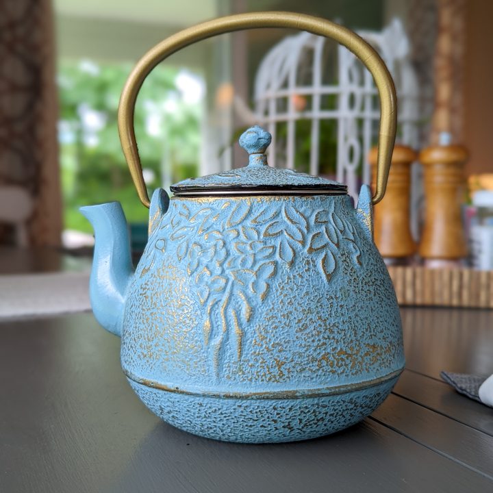 A close-up portrait photo of a light blue teapot.