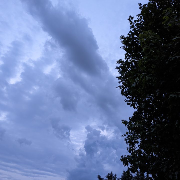 A stormy sky with detailed clouds. Part of a tree is seen in the right corner.