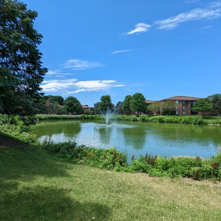 A bright sunny scene outside. We see a grassy hill, a bright blue sky, and a small pond with a fountain in it.