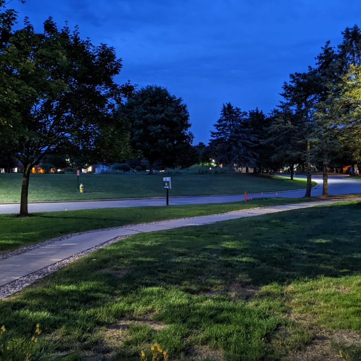 A photo of trees, the night sky, and a sidewalk taken late at night.