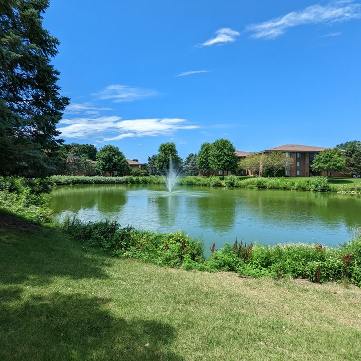 A bright sunny scene outside. We see a grassy hill, a bright blue sky, and a small pond with a fountain in it.