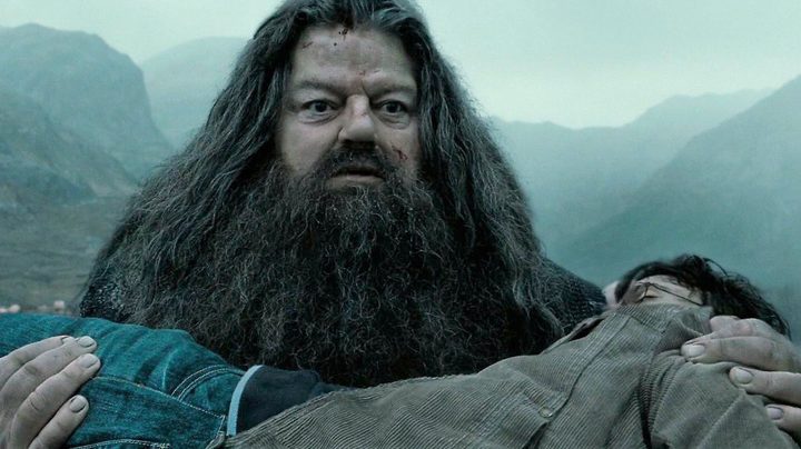 Hagrid carries Harry in Harry Potter and the Deathly Hallows – Part 2.