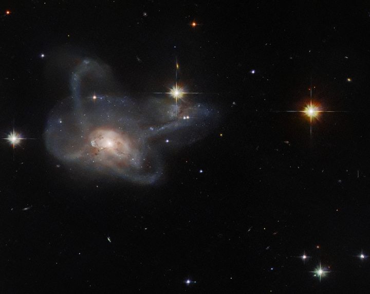 This NASA/ESA Hubble Space Telescope observation has captured the galaxy CGCG 396-2, an unusual multi-armed galaxy merger which lies around 520 million light-years from Earth in the constellation Orion.