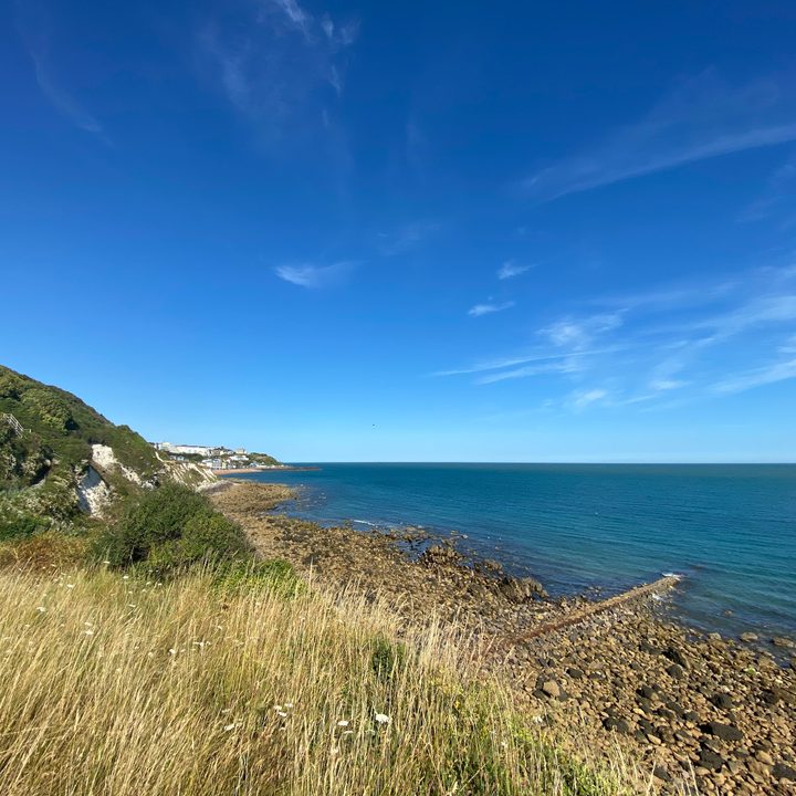 Apple iPhone 11 wide-angle photo.