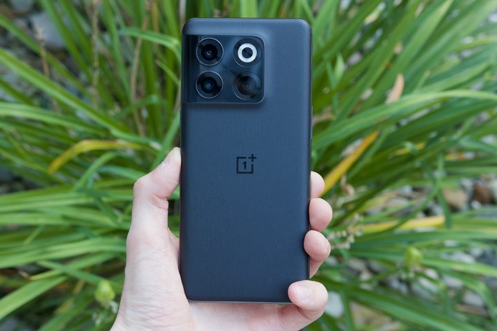 Holding the OnePlus 10T in front of a green plant.