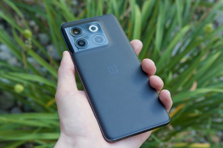 Holding the OnePlus 10T in front of a green plant.