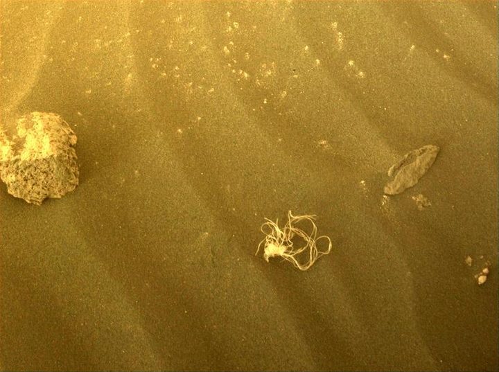 A string-like object discovered by NASA's Mars rover.