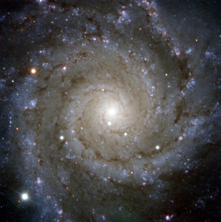 ESO's PESSTO survey has captured this view of Messier 74, a stunning spiral galaxy with well-defined whirling arms.