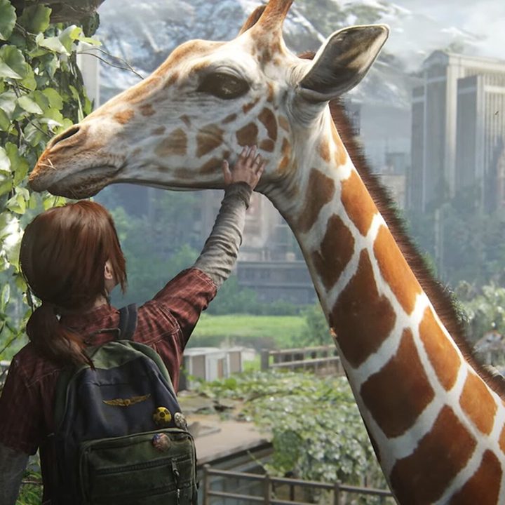 Ellie pets a giraffe in The Last of Us Part I.
