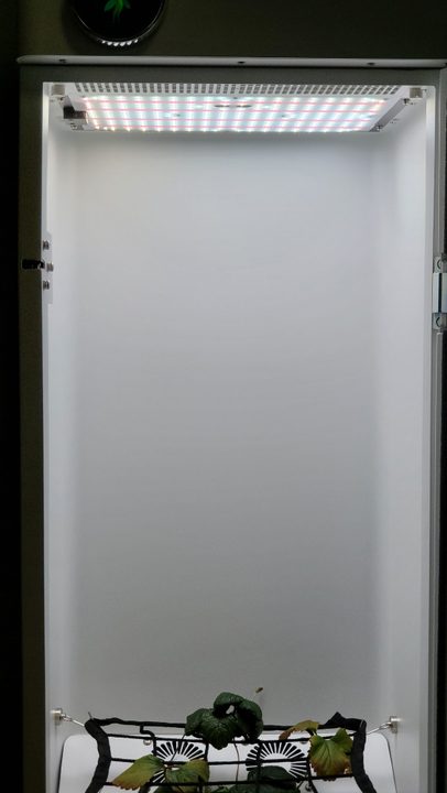 The inside of the Abby Grow Box.
