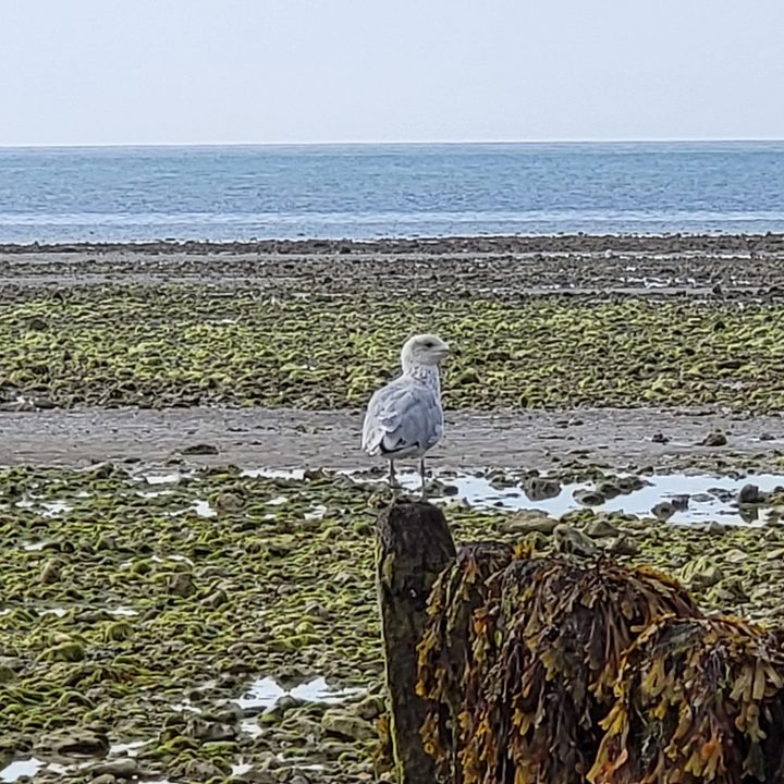 10x zoom photo taken with the Galaxy Z Fold 3.