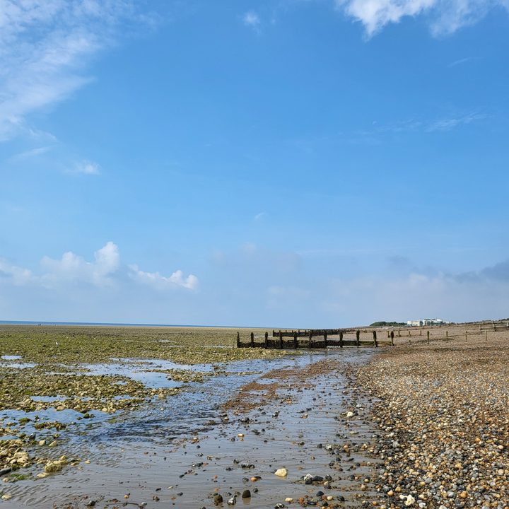 Main camera photo taken with the Galaxy Z Fold 3.