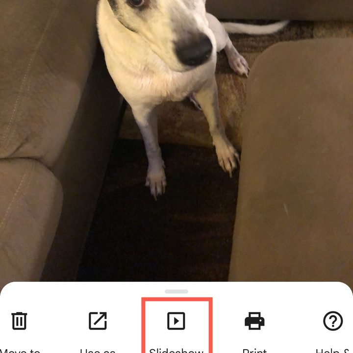 Slideshow in the Google Photos menu on Android.