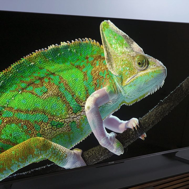 A chameleon on the screen of the Hisense U8H QLED 4K TV.