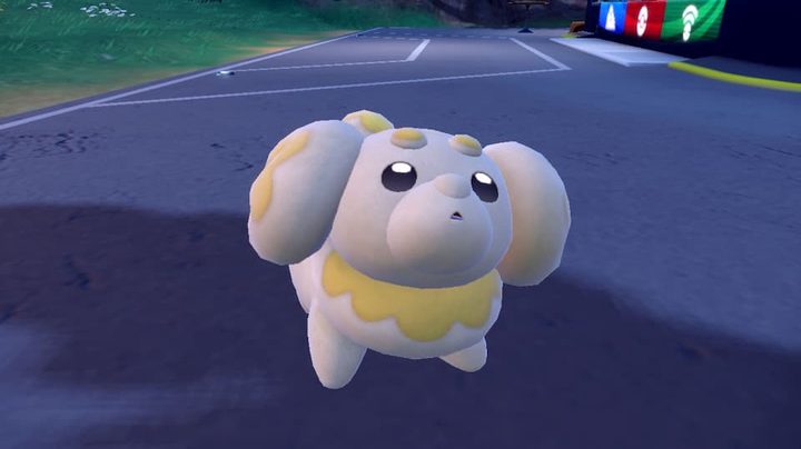 Fidough looking confused.